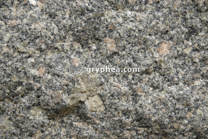 Granite sain encore inaltéré (Flamanville) - gryphea.com